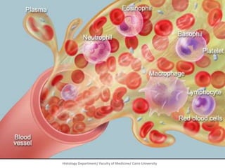 Histology Department/ Faculty of Medicine/ Cairo University

 