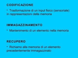 CODIFICAZIONE
• Trasformazione di un input fisico (sensoriale)
in rappresentazioni della memoria

IMMAGAZZINAMENTO
• Mantenimento di un elemento nella memoria

RECUPERO
• Richiamo alla memoria di un elemento
precedentemente immagazzinato

 