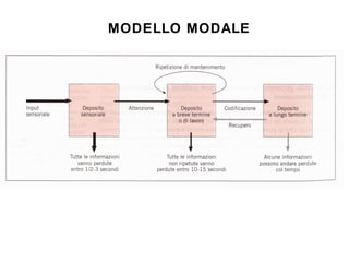 MODELLO MODALE

 