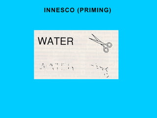 INNESCO (PRIMING)

 