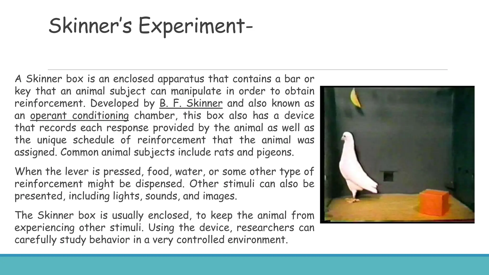 Skinner’s Experiment-
A Skinner box is an enclosed apparatus that contains a bar or
key that an animal subject can manipulate in order to obtain
reinforcement. Developed by B. F. Skinner and also known as
an operant conditioning chamber, this box also has a device
that records each response provided by the animal as well as
the unique schedule of reinforcement that the animal was
assigned. Common animal subjects include rats and pigeons.
When the lever is pressed, food, water, or some other type of
reinforcement might be dispensed. Other stimuli can also be
presented, including lights, sounds, and images.
The Skinner box is usually enclosed, to keep the animal from
experiencing other stimuli. Using the device, researchers can
carefully study behavior in a very controlled environment.
 