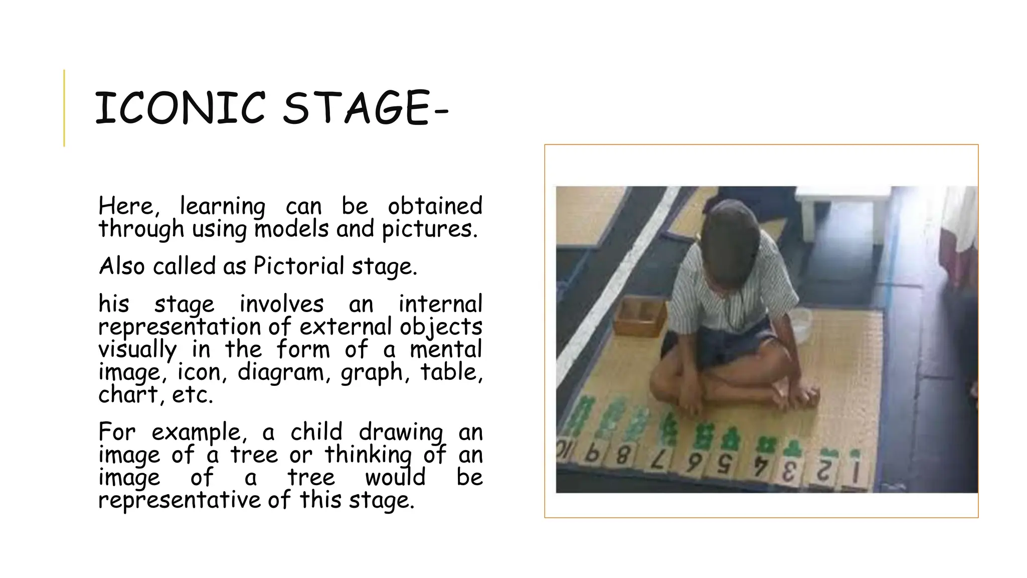 ICONIC STAGE-
Here, learning can be obtained
through using models and pictures.
Also called as Pictorial stage.
his stage involves an internal
representation of external objects
visually in the form of a mental
image, icon, diagram, graph, table,
chart, etc.
For example, a child drawing an
image of a tree or thinking of an
image of a tree would be
representative of this stage.
 
