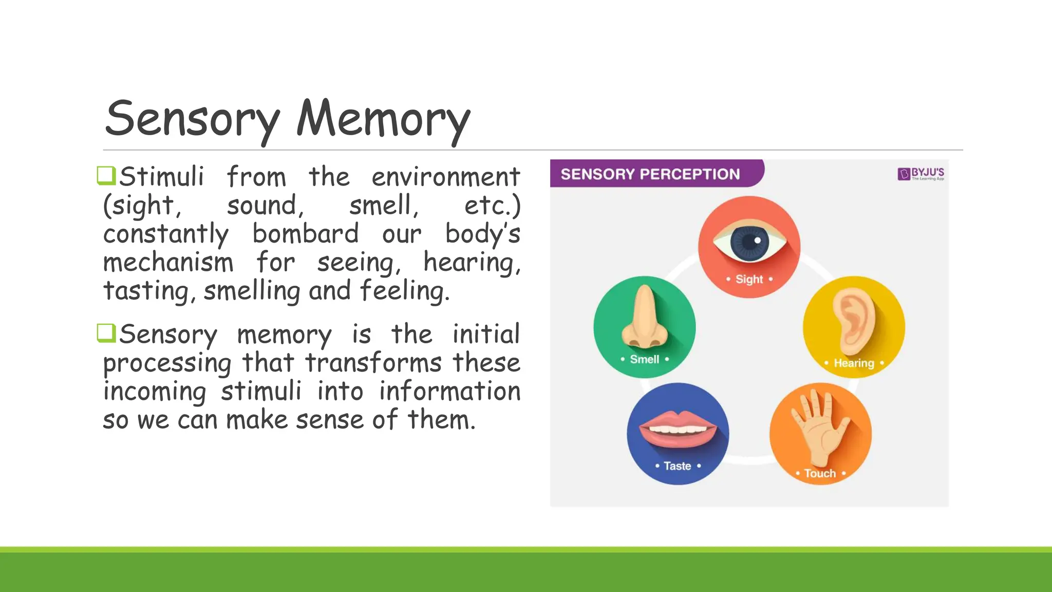 Sensory Memory
Stimuli from the environment
(sight, sound, smell, etc.)
constantly bombard our body’s
mechanism for seeing, hearing,
tasting, smelling and feeling.
Sensory memory is the initial
processing that transforms these
incoming stimuli into information
so we can make sense of them.
 
