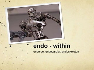 endo - within 
endorse, endocardial, endoskeleton 
 