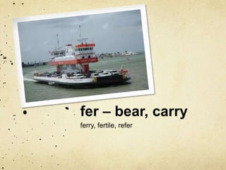 fer – bear, carry 
ferry, fertile, refer 
 
