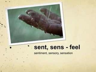 sent, sens - feel 
sentiment, sensory, sensation 
 