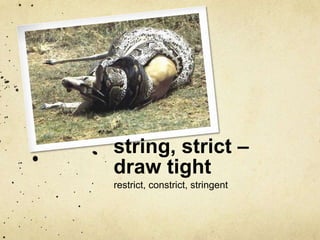 string, strict – 
draw tight 
restrict, constrict, stringent 
 