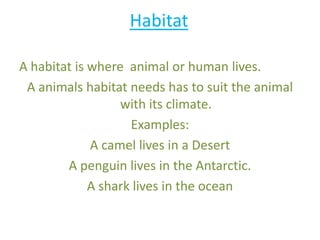 HabitatA habitat is where  animal or human lives.A animals habitat needs has to suit the animal with its climate.Examples: A camel lives in a DesertA penguin lives in the Antarctic.A shark lives in the ocean