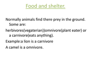 Food and shelter.Normally animals find there prey in the ground. Some are: herbivores(vegaterian))omnivore(plant eater) or a carnivore(eats anything).Example:a lion is a carnivoreA camel is a omnivore.