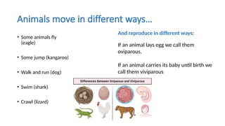 ALL about ANIMALS for year 2 in english.pptx