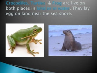 where the animals live