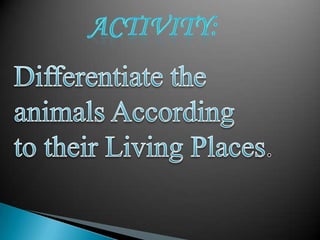 where the animals live