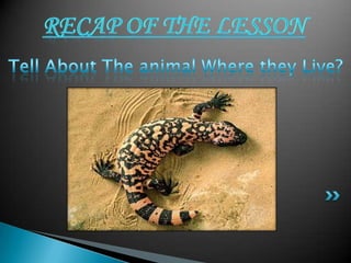 where the animals live