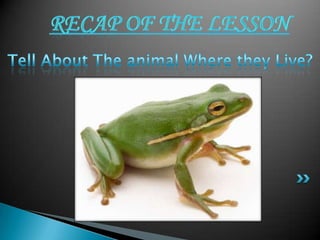 where the animals live