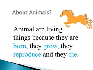Animal are living
things because they are
born, they grow, they
reproduce and they die.
 