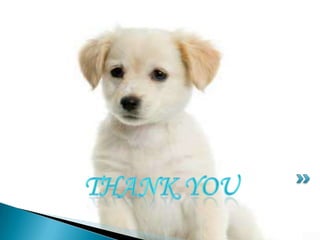 where the animals live