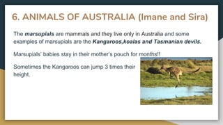 6. ANIMALS OF AUSTRALIA (Imane and Sira)
The marsupials are mammals and they live only in Australia and some
examples of marsupials are the Kangaroos,koalas and Tasmanian devils.
Marsupials’ babies stay in their mother’s pouch for months!!
Sometimes the Kangaroos can jump 3 times their
height.
 