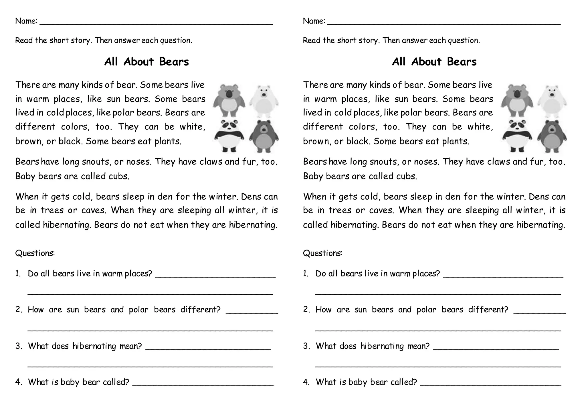 All About Bears | PPT