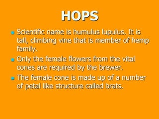 HOPS
 Scientific name is humulus lupulus. It is
tall, climbing vine that is member of hemp
family.
 Only the female flowers from the vital
cones are required by the brewer.
 The female cone is made up of a number
of petal like structure called brats.
 