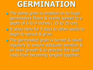 GERMINATION
 The damp grain is emptied on to huge
germinatory floors & evenly spread to a
depth of 6 to 9 inches ( 15 to 20 cm).
 It stays here for 5 days to allow seeds to
begin to sprout & grow.
 The germinated grain is turned & raked
regularly to ensure adequate aeration &
an even growth & to prevent the seed
roots from becoming tangled together.
 