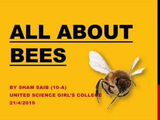ALL ABOUT
BEES
BY SHAM SAIB (10-A)
UNITED SCIENCE GIRL’S COLLEGE
21/4/2019
 