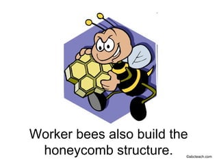Work Bee Slide All about bees slideshow | PPT