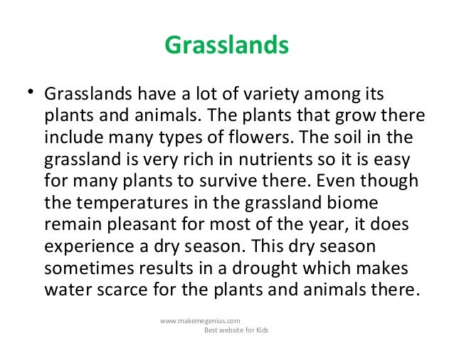 Habitat of animals slideshare information