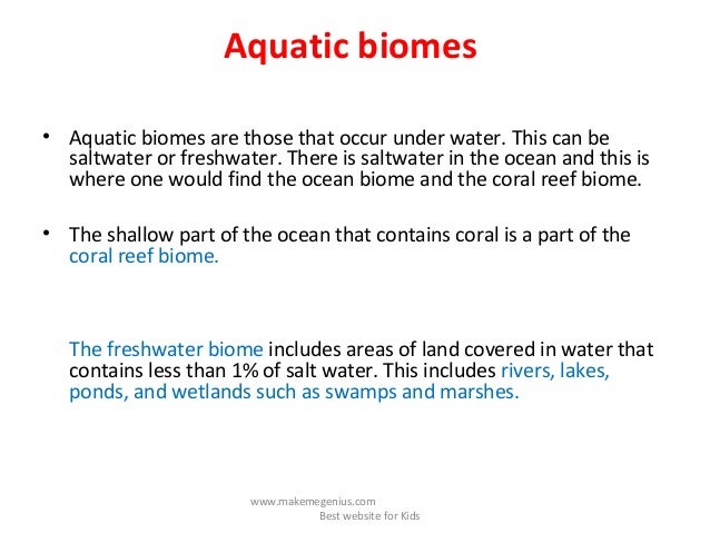 Saltwater Ecosystem Facts For Kids Saltwater Ecosystem Facts For Kids