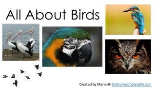 All About Birds
Created by Marie @ thehomeschooldaily.com
 