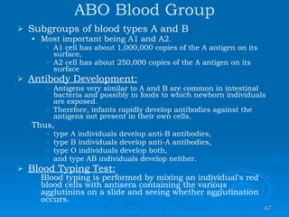 All About Blood From Rtibloodinfo | PPS