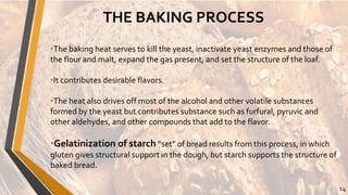 ALL ABOUT BREAD.pdf