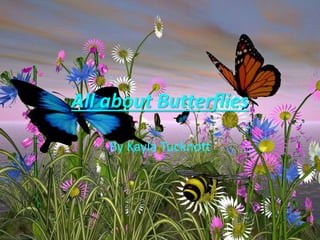 All about Butterflies
By Kayla Tucknott
 