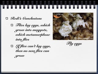Redi’s Conclusions
  Flies lay eggs, which
  grow into maggots,
  which metamorphose
  into flies
                             Fly eggs
  If flies can’t lay eggs,
  then no new flies can
  grow
 