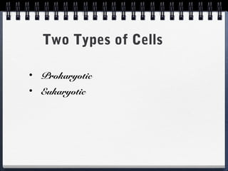 Two Types of Cells

•   Prokaryotic
•   Eukaryotic
 
