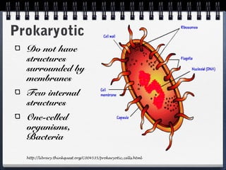 Prokaryotic
  Do not have
  structures
  surrounded by
  membranes
  Few internal
  structures
  One-celled
  organisms,
  Bacteria

  http://library.thinkquest.org/C004535/prokaryotic_cells.html
 