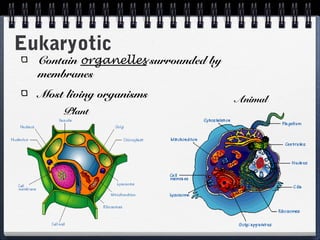 Eukaryotic
  Contain organelles surrounded by
  membranes
  Most living organisms              Animal
      Plant
 