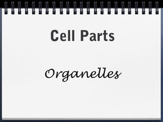 Cell Parts

Organelles
 