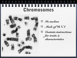 Chromosomes

       In nucleus
       Made of DNA
       Contain instructions
       for traits &
       characteristics
 