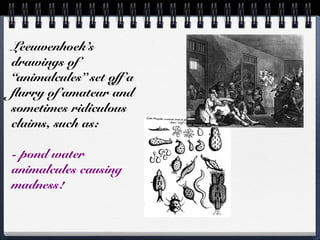 Leeuwenhoek’s
drawings of
“animalcules” set off a
flurry of amateur and
sometimes ridiculous
claims, such as:

- pond water
animalcules causing
madness!
 