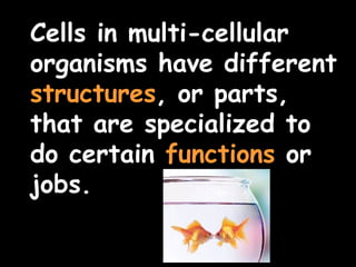 Cells in multi-cellular
organisms have different
structures, or parts,
that are specialized to
do certain functions or
jobs.
 