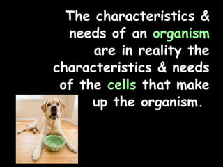 The characteristics &
needs of an organism
are in reality the
characteristics & needs
of the cells that make
up the organism.
 