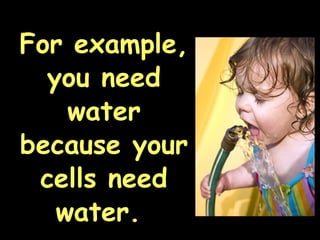 For example,
you need
water
because your
cells need
water.
 