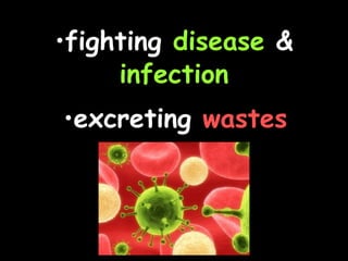 •fighting disease &
infection
•excreting wastes
 