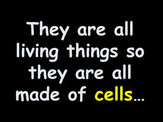 They are all
living things so
they are all
made of cells…
 
