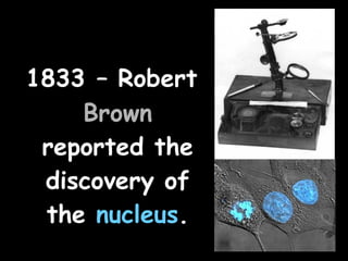 1833 – Robert
Brown
reported the
discovery of
the nucleus.
 