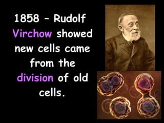 1858 – Rudolf
Virchow showed
new cells came
from the
division of old
cells.
 