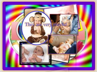 They are very playful.

 They are very
They insist on
   curious…
     …jealousy…
 what they
  want.
 