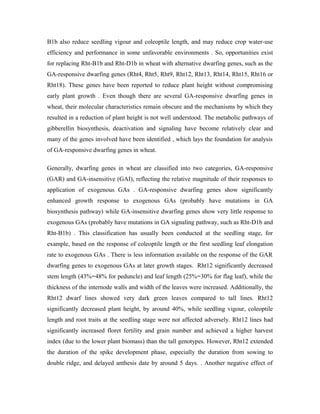 B1b also reduce seedling vigour and coleoptile length, and may reduce crop water-use
efficiency and performance in some unfavorable environments . So, opportunities exist
for replacing Rht-B1b and Rht-D1b in wheat with alternative dwarfing genes, such as the
GA-responsive dwarfing genes (Rht4, Rht5, Rht9, Rht12, Rht13, Rht14, Rht15, Rht16 or
Rht18). These genes have been reported to reduce plant height without compromising
early plant growth . Even though there are several GA-responsive dwarfing genes in
wheat, their molecular characteristics remain obscure and the mechanisms by which they
resulted in a reduction of plant height is not well understood. The metabolic pathways of
gibberellin biosynthesis, deactivation and signaling have become relatively clear and
many of the genes involved have been identified , which lays the foundation for analysis
of GA-responsive dwarfing genes in wheat.
Generally, dwarfing genes in wheat are classified into two categories, GA-responsive
(GAR) and GA-insensitive (GAI), reflecting the relative magnitude of their responses to
application of exogenous GAs . GA-responsive dwarfing genes show significantly
enhanced growth response to exogenous GAs (probably have mutations in GA
biosynthesis pathway) while GA-insensitive dwarfing genes show very little response to
exogenous GAs (probably have mutations in GA signaling pathway, such as Rht-D1b and
Rht-B1b) . This classification has usually been conducted at the seedling stage, for
example, based on the response of coleoptile length or the first seedling leaf elongation
rate to exogenous GAs . There is less information available on the response of the GAR
dwarfing genes to exogenous GAs at later growth stages. Rht12 significantly decreased
stem length (43% 48% for peduncle) and leaf length (25% 30% for flag leaf), while the∼ ∼
thickness of the internode walls and width of the leaves were increased. Additionally, the
Rht12 dwarf lines showed very dark green leaves compared to tall lines. Rht12
significantly decreased plant height, by around 40%, while seedling vigour, coleoptile
length and root traits at the seedling stage were not affected adversely. Rht12 lines had
significantly increased floret fertility and grain number and achieved a higher harvest
index (due to the lower plant biomass) than the tall genotypes. However, Rht12 extended
the duration of the spike development phase, especially the duration from sowing to
double ridge, and delayed anthesis date by around 5 days. . Another negative effect of
 