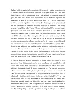 Reduced height in cereals is often associated with increases in yield due to a reduced risk
of lodging, increase in partitioning of assimilates to the grain (Evans, 1993), and more
fertile florets per spikelet (Brooking and Kirby, 1981). Wheat is the most important cereal
grain crop in the world.It is the staple crop for about 35% of the human population and
also known as “king” of the cereals (Laghari et al 2010).It is a crop that has profound
social and economic importance across countries. It is the principal cereal grain crop used
for food consumption in the United States and most parts of the world. The leading
producers being China, India, Turkey, Pakistan, and Argentina; INDIA is second largest
producer of wheat in the world .World production of wheat in 2001 was 583.9 million
metric tons, occurring on 219.5 million acres. World wheat consumption in that period
was 590.6 million tons. The consumption of wheat has been increasing with the
increasing population and thus its production need to be increased. It is estimated that
over the next decade, grain production must increase by 15% to meet the global demand
and consumption of wheat as a result of a growing human population (Edgerton, 2009).
Improving and achieving yield stability remains a daunting challenge.One strategy to
meet this challenge is to increase wheat productivity by optimizing plant architecture
(defined by tillering, stature, and leaf and ear morphology). Plant architecture is of major
agronomic importance as it determines the adaptability of a plant to cultivation, harvest
index, and potential grain yield (Reinhardt and Kuhlemeier, 2002).
A decisive component of plant architecture is stature, mainly determined by stem
elongation. Wheat (Triticum aestivum L.) is an annual crop with round, hollow, and
jointed culms (stems). There are usually five elongated internodes in fully grown culms,
with each internode progressively longer towards the ear. The internode elongation,
which determines final plant height, is regulated by genes involved in brassinosteroid
(BR) and gibberellin (GA) biosynthetic or signalling pathways.Semi-dwarﬁng genes in
wheat made a signiﬁcant contribution to the ‘Green revolution’ in the 1960s .Twenty-one
reduced height genes in wheat, Rht1 to Rht21, have been described till .Among them,
four genes, originally named Rht1, Rht3, Rht2 and Rht10, were re-designated as Rht-
B1b, Rht-B1c, Rht-D1b and Rht-D1c, respectively and these were shown to be alleles at
two loci. Semidwarfing genes led to the higher yields due to improved lodging resistance
and the resulting ability to tolerate higher rates of inorganic nitrogen-based fertilizer
 