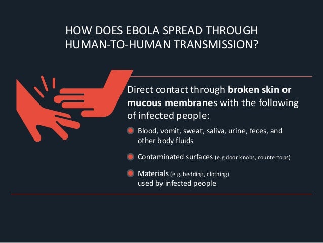 All about ebola virus (complete info.) diagram of blood through the kidney 